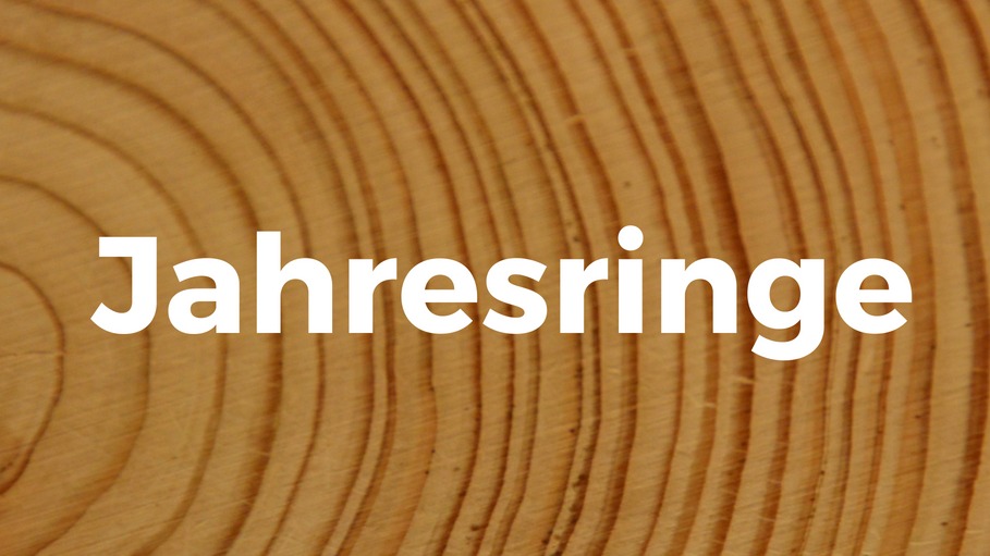 Ankündigungsgrafik "Jahresringe" auf einem Holzquerschnitt mit Jahresringen der Kölner Sprechbar.