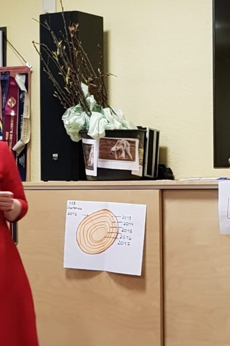 Handgezeichnete Baumringe mit den Jahreszahlen 2013 bis 2017 auf einem Flipchart-Blatt neben einer Vase mit Zweigen.