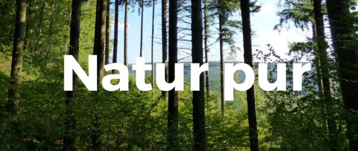 Natur pur Ankündigungsgrafik "Natur pur" der Kölner Sprechbar zum Clubabend am 17.01.2018.