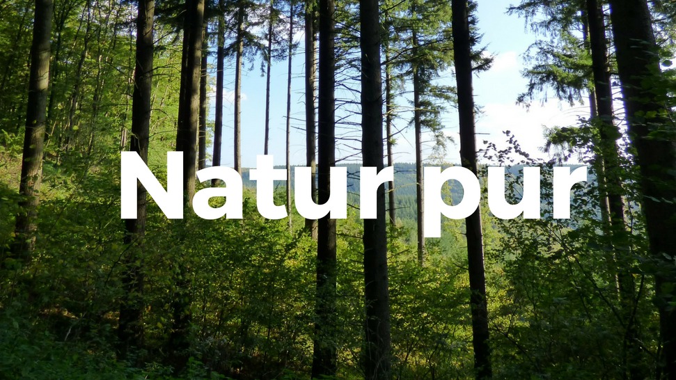 Ankündigungsgrafik "Natur pur" der Kölner Sprechbar zum Clubabend am 17.01.2018.