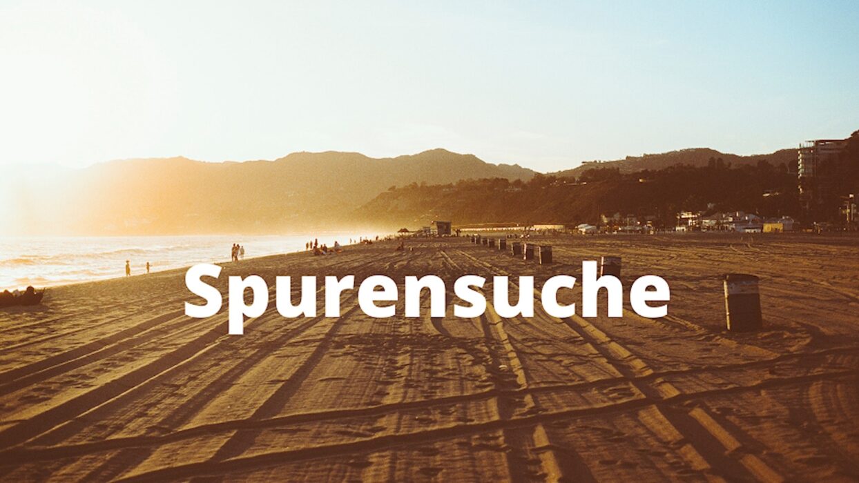 Weg durch eine weite Landschaft bei Sonnenuntergang mit dem Schriftzug Spurensuche.
